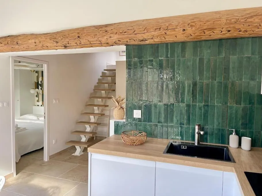 Magnifique Appartement + Terrasse Au Coeur D'Aix Aix-en-Provence Apartment